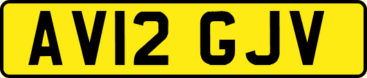 AV12GJV