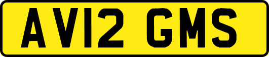 AV12GMS
