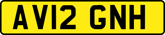 AV12GNH