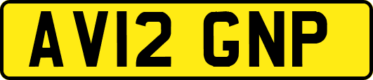AV12GNP