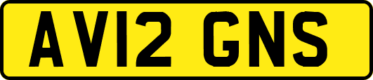 AV12GNS