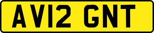 AV12GNT
