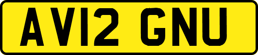 AV12GNU