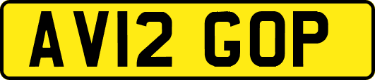 AV12GOP