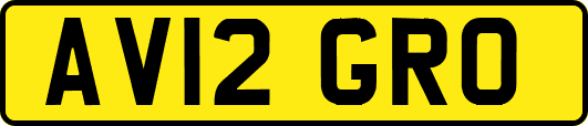 AV12GRO