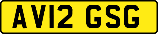 AV12GSG