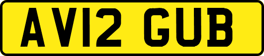 AV12GUB