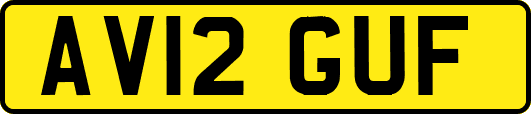 AV12GUF