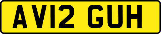 AV12GUH