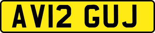 AV12GUJ