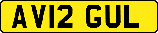 AV12GUL