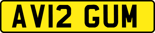 AV12GUM