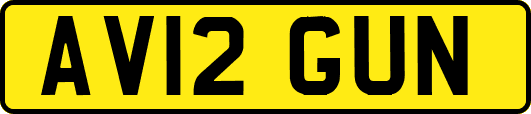 AV12GUN