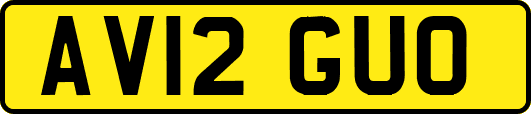 AV12GUO