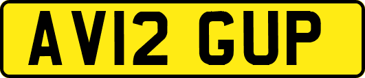 AV12GUP
