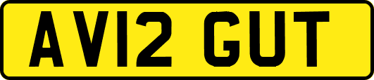 AV12GUT