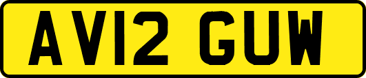 AV12GUW