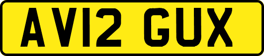 AV12GUX