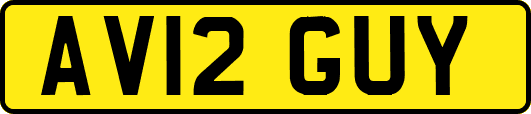 AV12GUY