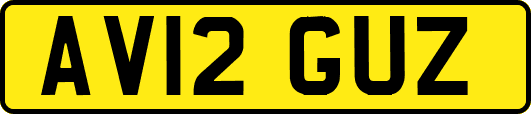AV12GUZ