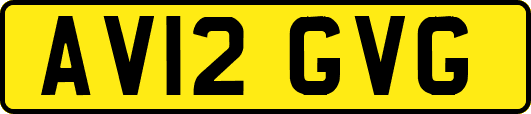AV12GVG