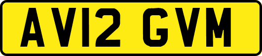 AV12GVM