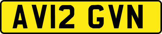 AV12GVN