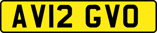 AV12GVO