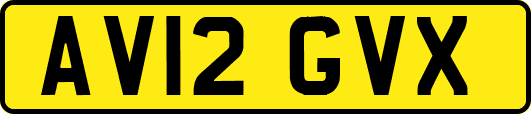AV12GVX