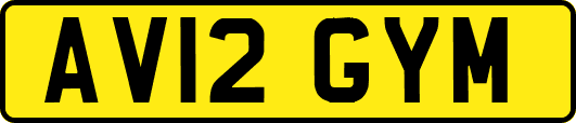 AV12GYM