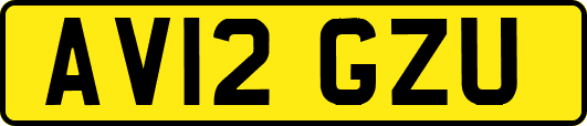 AV12GZU