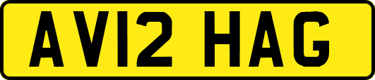 AV12HAG