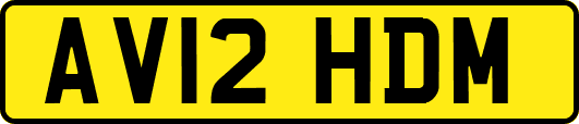 AV12HDM