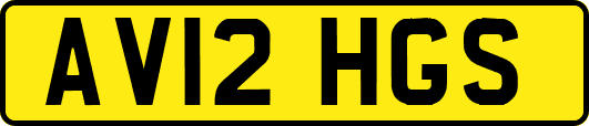 AV12HGS