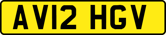 AV12HGV