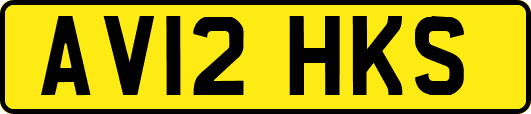 AV12HKS