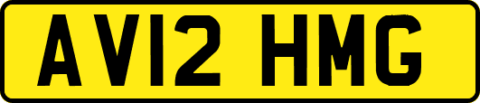 AV12HMG