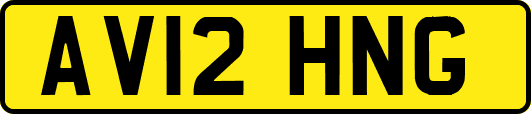 AV12HNG