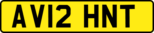 AV12HNT