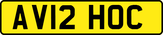 AV12HOC