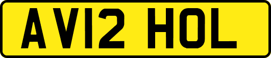 AV12HOL