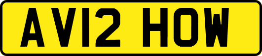 AV12HOW