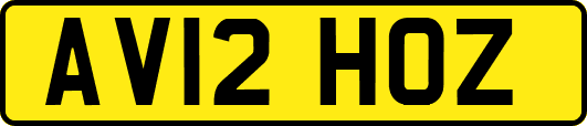 AV12HOZ