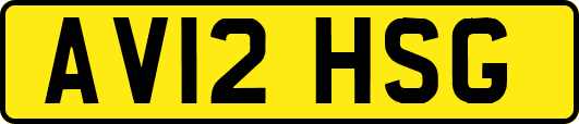 AV12HSG