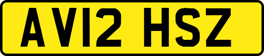 AV12HSZ