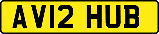 AV12HUB