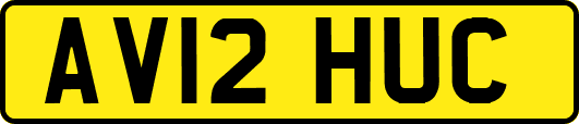 AV12HUC