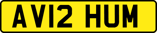 AV12HUM