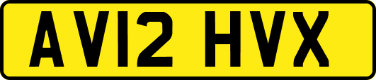 AV12HVX