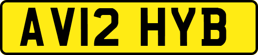 AV12HYB